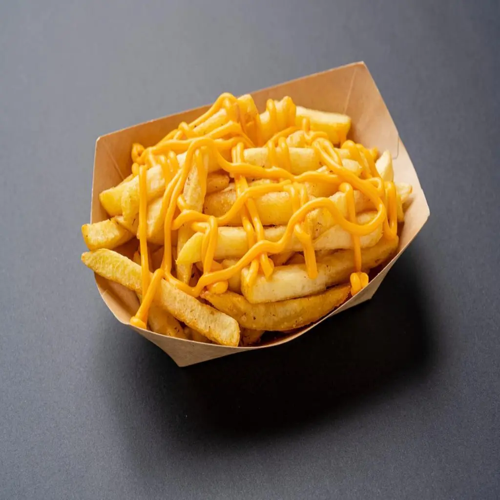 CHEESE FRIES